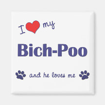 I Love My Bich-Poo (Male Dog) Magnets