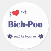 I Love My Bich-Poo (Male Dog) Stickers