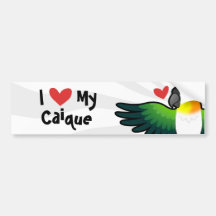 I Love My Caique / Lovebird / Pionus / Parrot Bumper Stickers