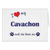 I Love My Cavachon (Female Dog) cards