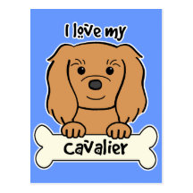 I Love My Cavalier King Charles Spaniel Post Card