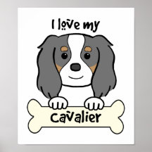 I Love My Cavalier King Charles Spaniel Poster