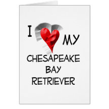 I Love My Chesapeake Bay Retriever Greeting Cards