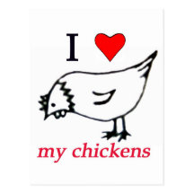 I Love my chickens Postcards