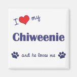 I Love My Chiweenie (Male Dog) Refrigerator Magnets