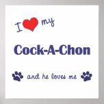 I Love My Cock-A-Chon (Male Dog) Print