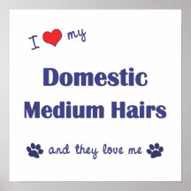 I Love My Domestic Medium Hairs (Multiple Cats) Print