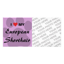 I Love My European Shorthair Pawprint Design Photo Card
