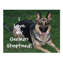I love my German Shepherd Postcard!