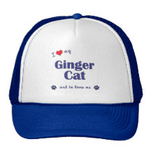 I Love My Ginger Cat (Male Cat) Hat