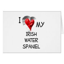 I Love My Irish Water Spaniel Card