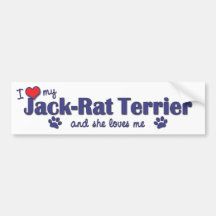 I Love My Jack-Rat Terrier (Female Dog) Bumper Stickers