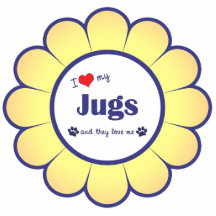 I Love My Jugs (Multiple Dogs) Photo Sculptures