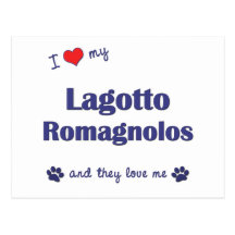I Love My Lagotto Romagnolos (Multiple Dogs) Postcard