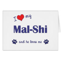 I Love My Mal-Shi (Male Dog) cards