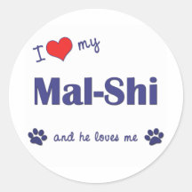 I Love My Mal-Shi (Male Dog) Sticker