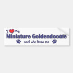 I Love My Miniature Goldendoodle (Female Dog) Bumper Sticker