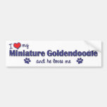 I Love My Miniature Goldendoodle (Male Dog) Bumper Sticker