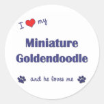 I Love My Miniature Goldendoodle (Male Dog) Round Stickers