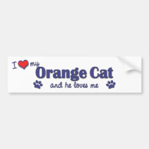 I Love My Orange Cat (Male Cat) Bumper Stickers