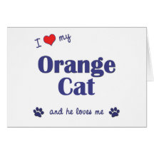I Love My Orange Cat (Male Cat) Cards