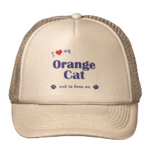 I Love My Orange Cat (Male Cat) Mesh Hat
