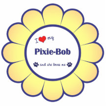 I Love My Pixie-Bob (Female Cat) Acrylic Cut Out