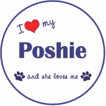 Poshie Dog