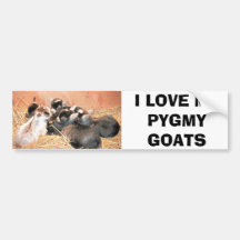 I LOVE MY PYGMY GOATS BUMPER STICKERS