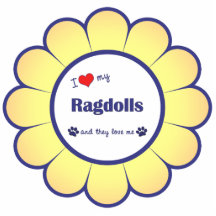 I Love My Ragdolls (Multiple Cats) Photo Sculpture