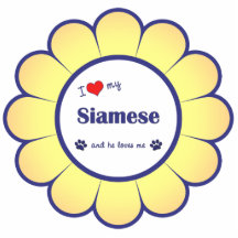 I Love My Siamese (Male Cat) Acrylic Cut Outs