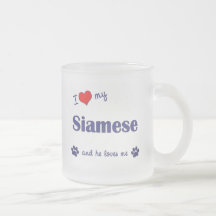 I Love My Siamese (Male Cat) Coffee Mug