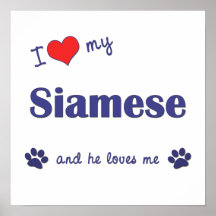 I Love My Siamese (Male Cat) Poster