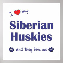 I Love My Siberian Huskies (Multiple Dogs) Print
