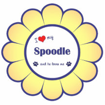 I Love My Spoodle (Male Dog) Acrylic Cut Outs