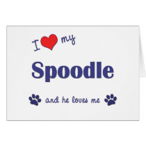 I Love My Spoodle (Male Dog) cards