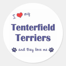 I Love My Tenterfield Terriers (Multiple Dogs) Sticker