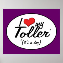 I Love My Toller (It's a Dog) Posters