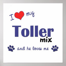 I Love My Toller Mix (Male Dog) Poster Print
