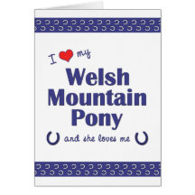 I Love My Welsh Mountain Pony (Female Pony) Greeting Cards