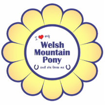I Love My Welsh Mountain Pony (Female Pony) Cut Outs