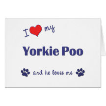 I Love My Yorkie Poo (Male Dog) Greeting Card