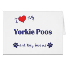 I Love My Yorkie Poos (Multiple Dogs) Greeting Card