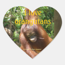 I Love Orangutans Sticker