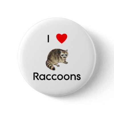 I Love Raccoons