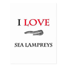 I Love Sea Lampreys Post Card