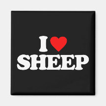 I LOVE SHEEP MAGNET