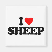 I LOVE SHEEP MAGNETS