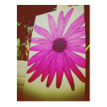 I Love Snailmail - Sunflower Postcard