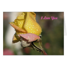 I Love You Cards